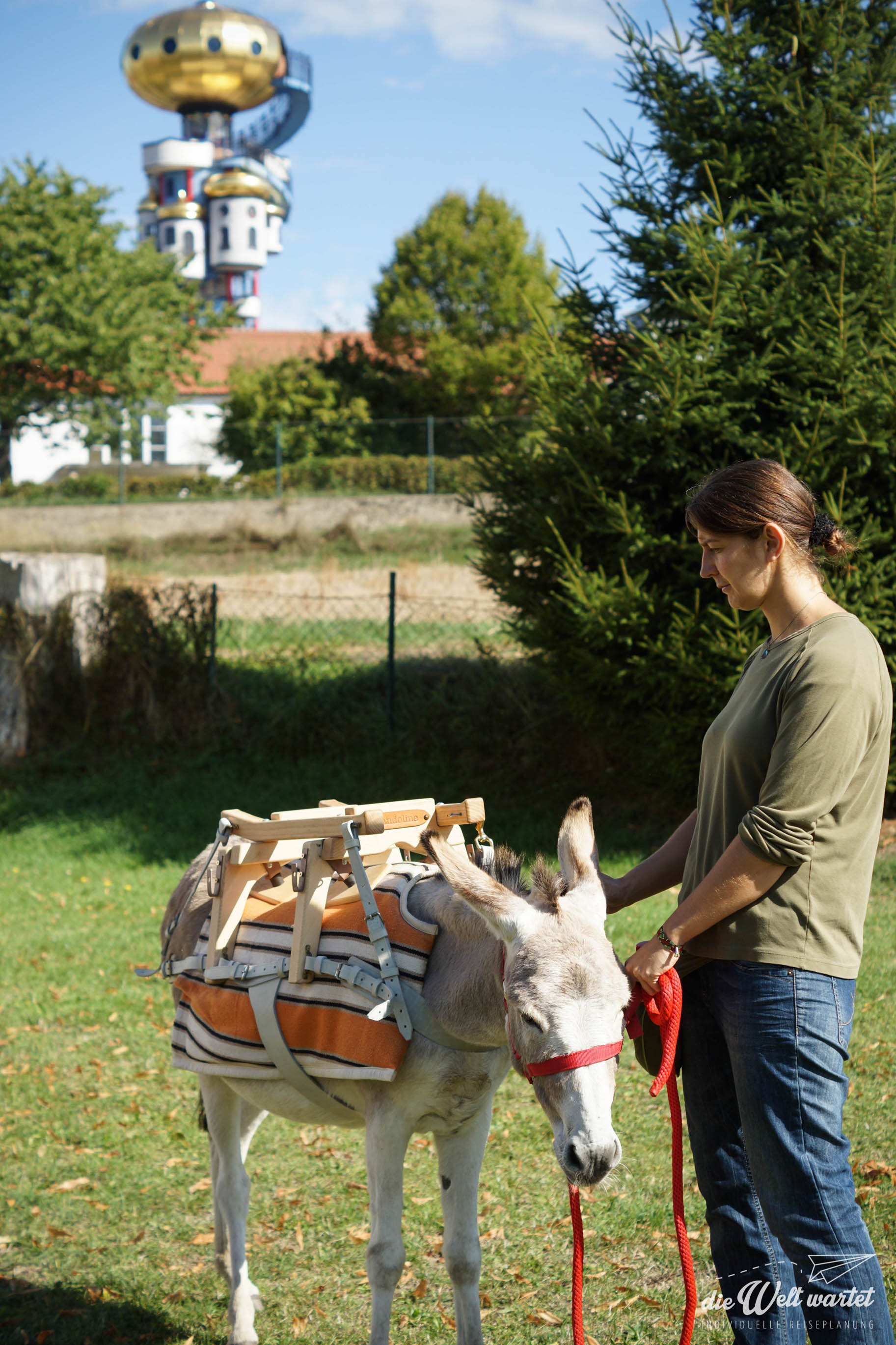 Eselwandern Donautal
